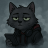 KiтCat
